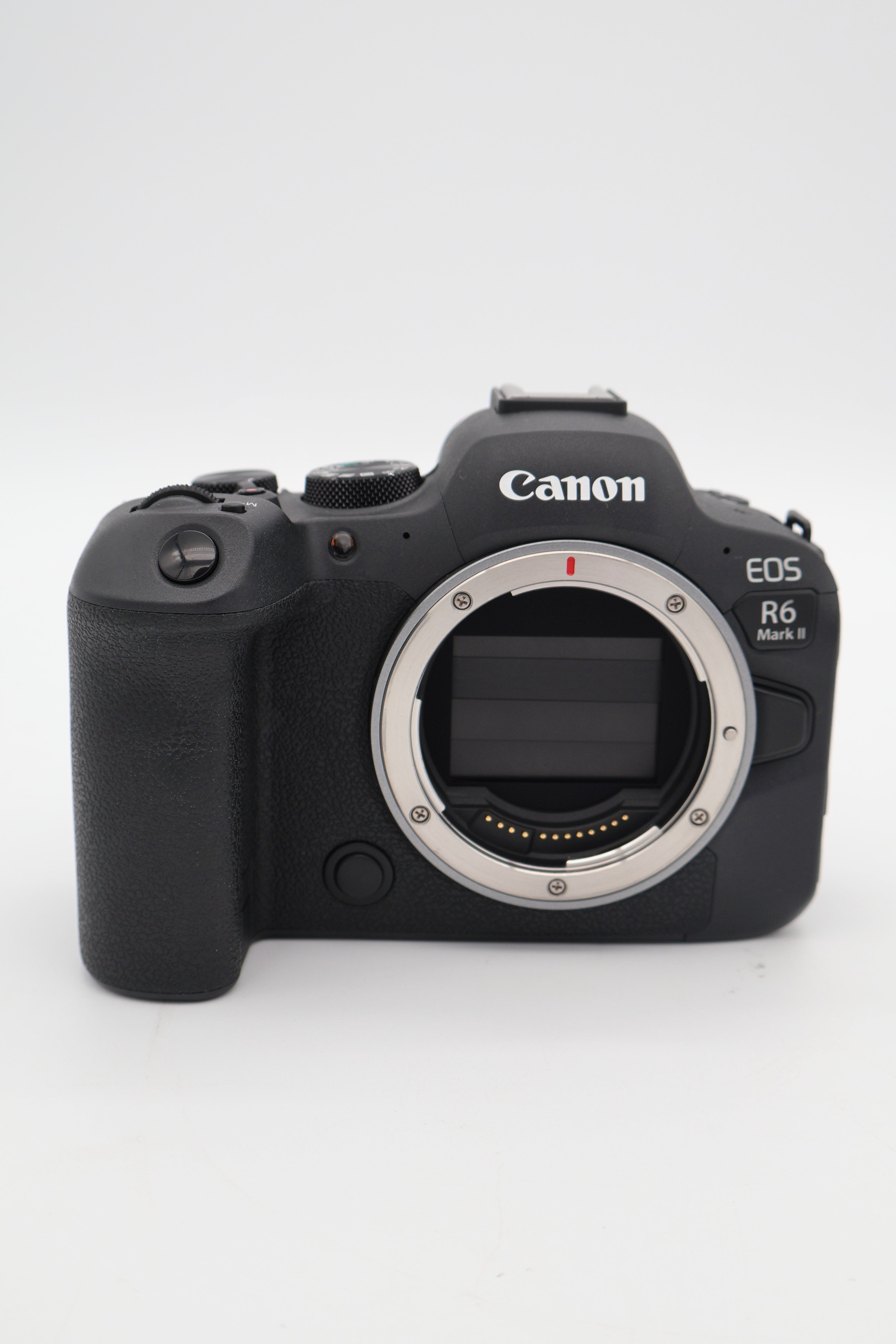 Canon EOS R6 II Body (with adapter)